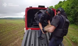 У лісі на Дубенщині знайшли арсенал боєприпасів часів війни