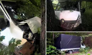 Не впорався з керуванням: на трасі Київ-Ковель водій Renault злетів у кювет і врізався в дерево