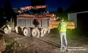 На Рівненщині зупинили дві партії деревини без документів