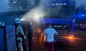 Полум&rsquo;я ледь не перекинулося на вантажівку: на Варащині загорілася господарча споруда