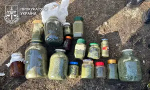 До 12 років ув&rsquo;язнення: жителя Березнівської громади судитимуть за збут наркотиків
