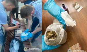 На Рівненщині вибухотехніки знищили два ворожі безпілотники з бойовими частинами У Рівному судитимуть чоловіка за зберігання канабісу та психотропів