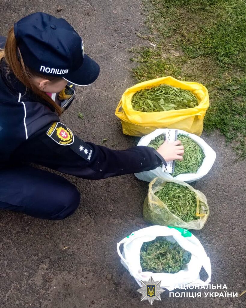 Vyroshchuvav Konopli Zdolbuniv