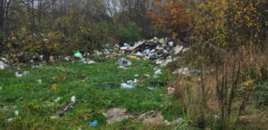 У Березнівській громаді виявили нові стихійні сміттєзвалища