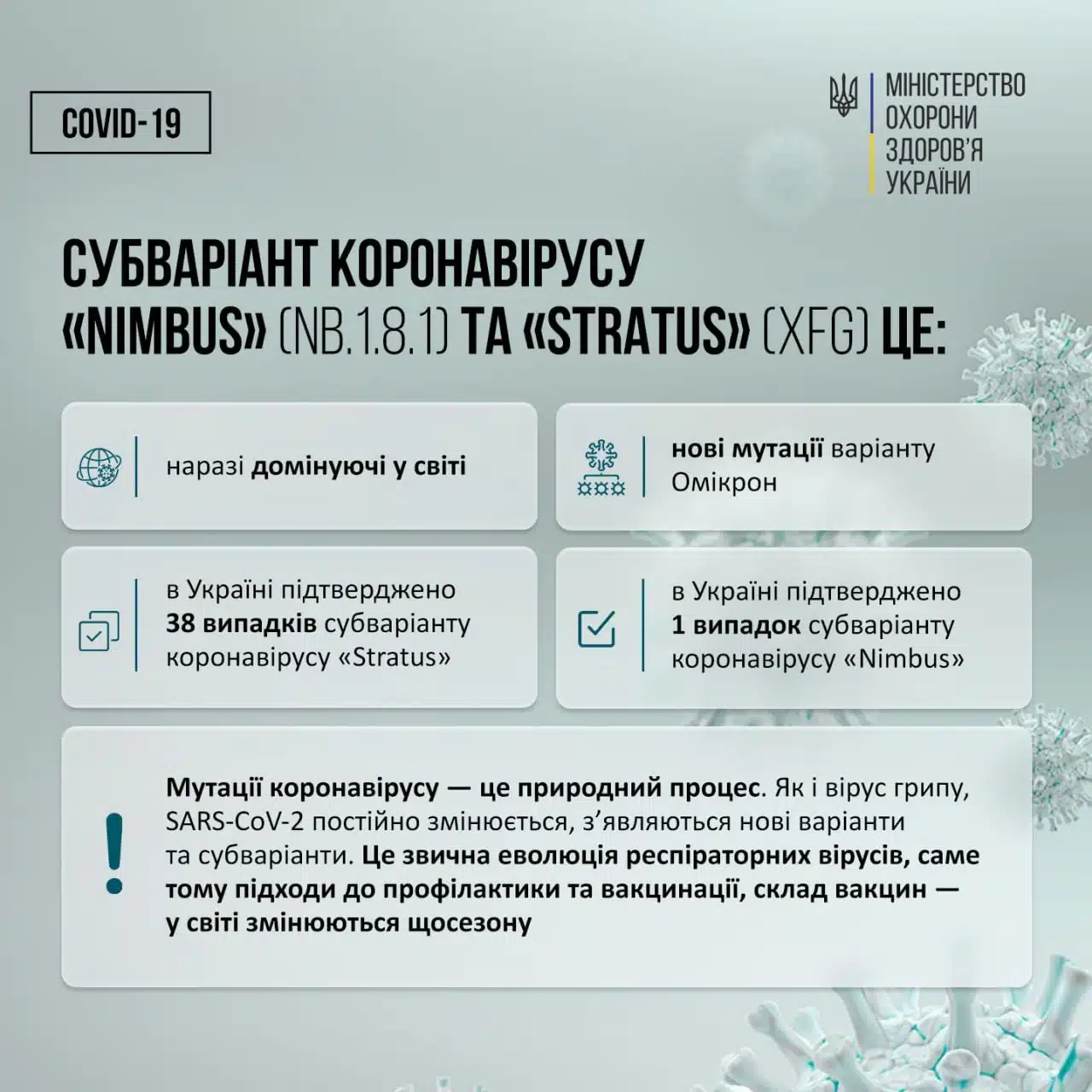 В Україні виявили нові субваріанти COVID-19 – «Stratus» і «Nimbus». Які симптоми - фото 1
